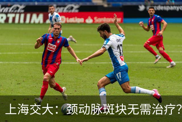 上海交大：颈动脉斑块无需治疗？真相可能让你大吃一惊