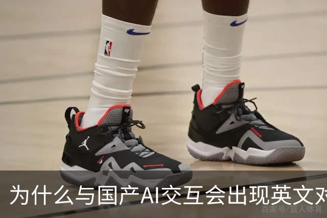 为什么与国产AI交互会出现英文对话？界面是中文底层是英文，难道是二道贩子？