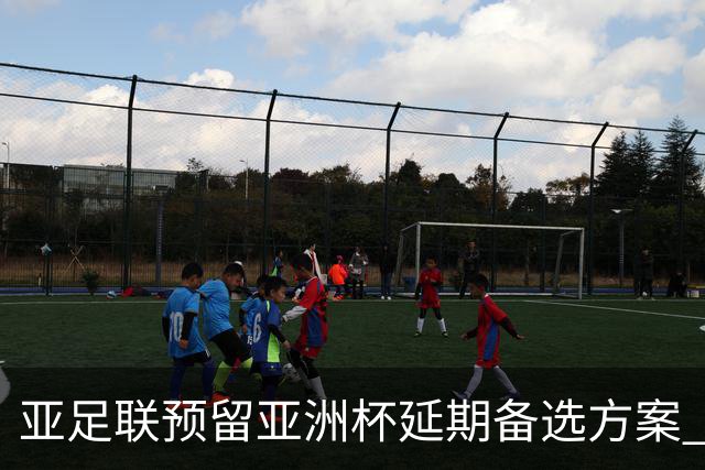 亚足联预留亚洲杯延期备选方案 沙特力保2027年如期举办