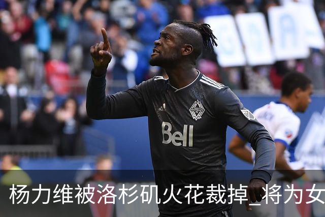 杨力维被洛杉矶火花裁掉 将为女篮争奥运门票