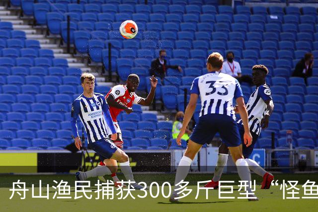 舟山渔民捕获300多斤巨型“怪鱼”，已放归大海，经辨认系翻车鱼，是已知世界上生殖力最强的脊椎动物；网友：以为是一块大石头