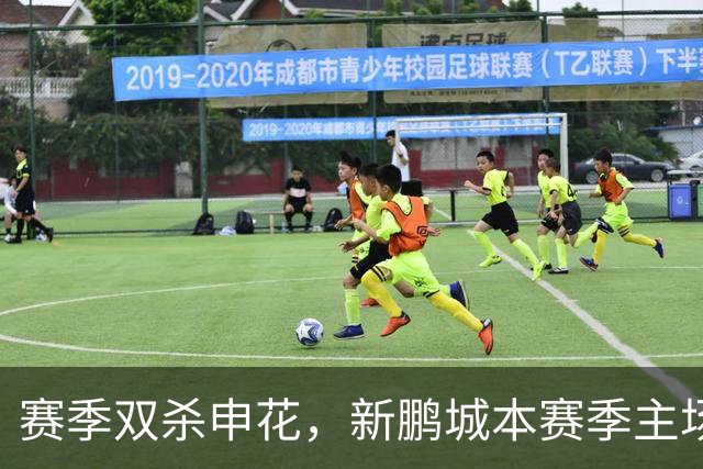 赛季双杀申花，新鹏城本赛季主场圆满收官
