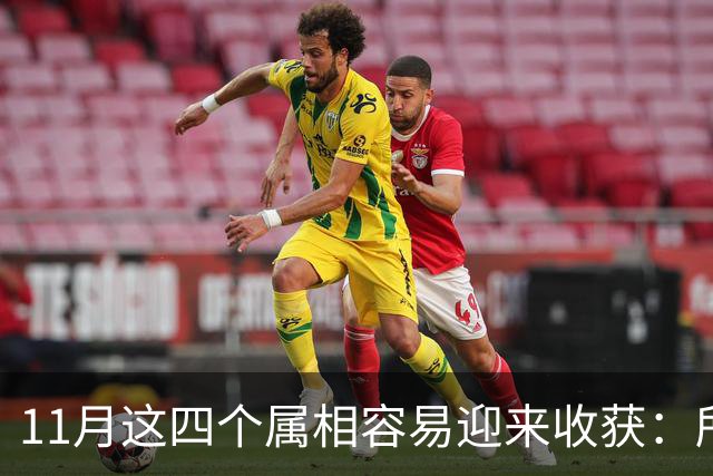 11月这四个属相容易迎来收获：所有惊喜，都是长期默默耕耘的结果