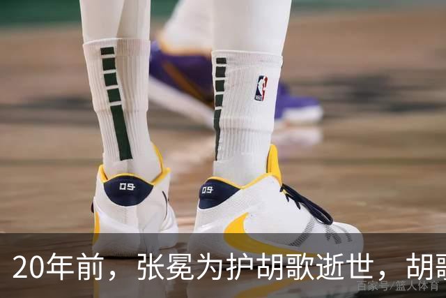 20年前，张冕为护胡歌逝世，胡歌许诺赡养其父母，如今他做到了吗