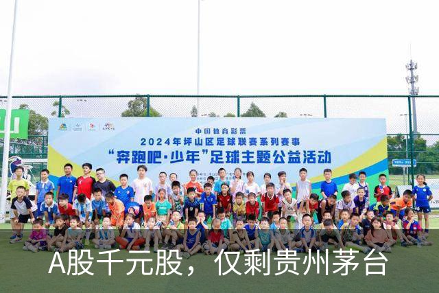 A股千元股，仅剩贵州茅台